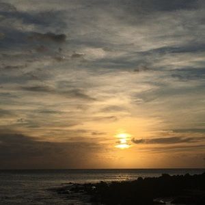 Meet your Posher, Cassie